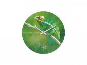 Часы настенные Nicole Time NT503 в Барышево - baryshevo.mebel-nsk.ru | фото